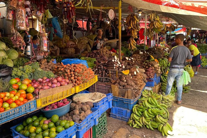 Discover Dominican life - Morning logistics, timing, and how to plan for a full day