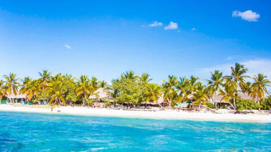 Discover Punta Cana: Full-Day Saona Island All Included - Natural Pool: your 45-minute starfish water break