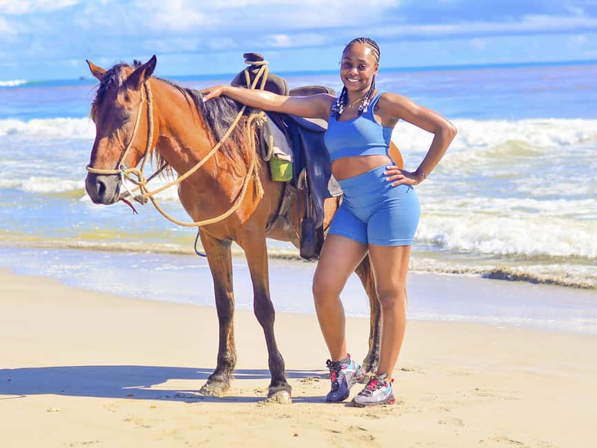 Discover the Trails of Punta Cana on a Horseback Ride - The Horse Matching: Why This Matters More Than the Beach Photo