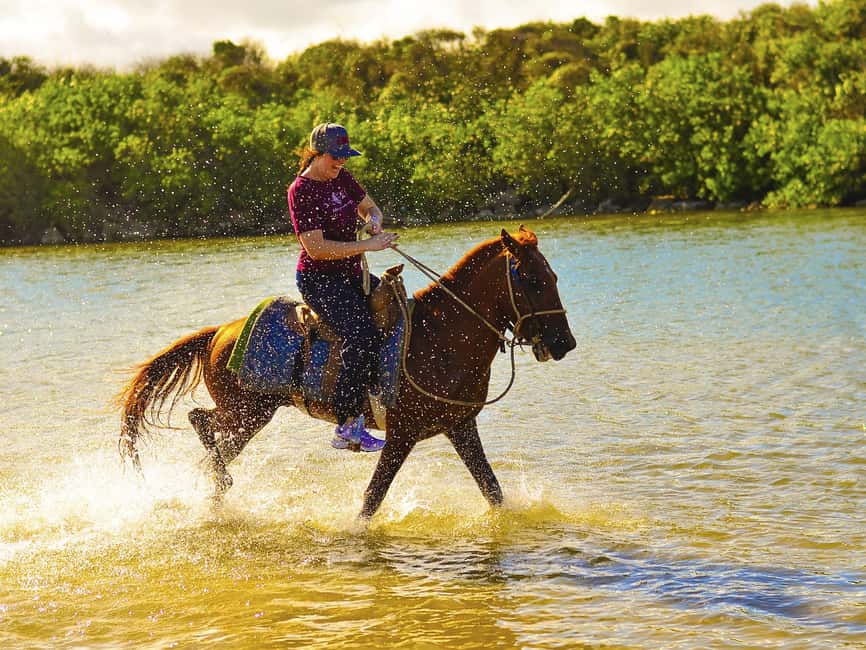 Discover the Trails of Punta Cana on a Horseback Ride - Price and Value: Is $40 a Good Deal for Punta Cana Horseback Riding?