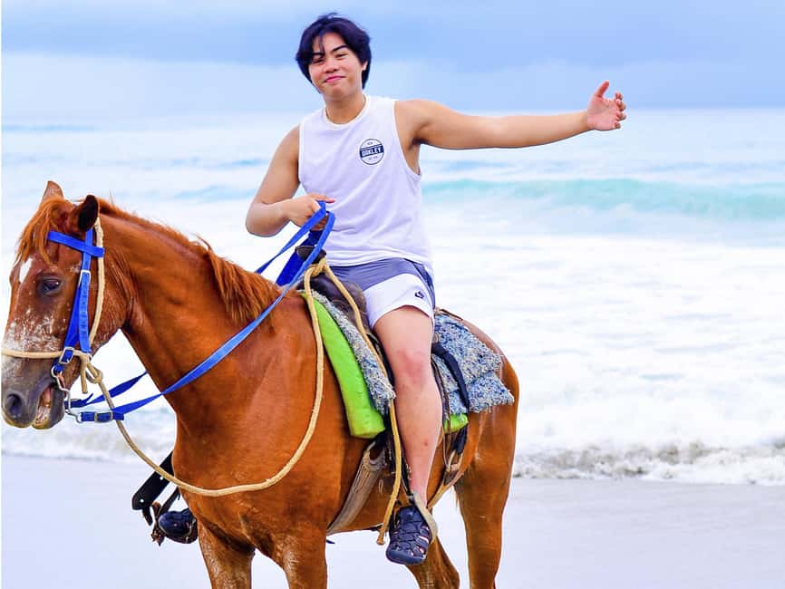 Discover the Trails of Punta Cana on a Horseback Ride - Who This Punta Cana Horse Ride Suits Best