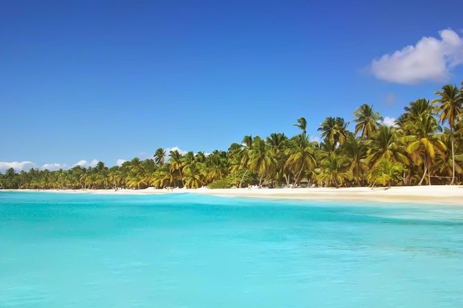 Discovery Package Saona Island & Buggies From Punta Cana - What This Punta Cana Package Actually Combines