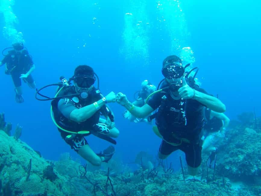 diving without a license catalina island from punta cana - Catalina Island route: The Wall, Aquarium, then beach time