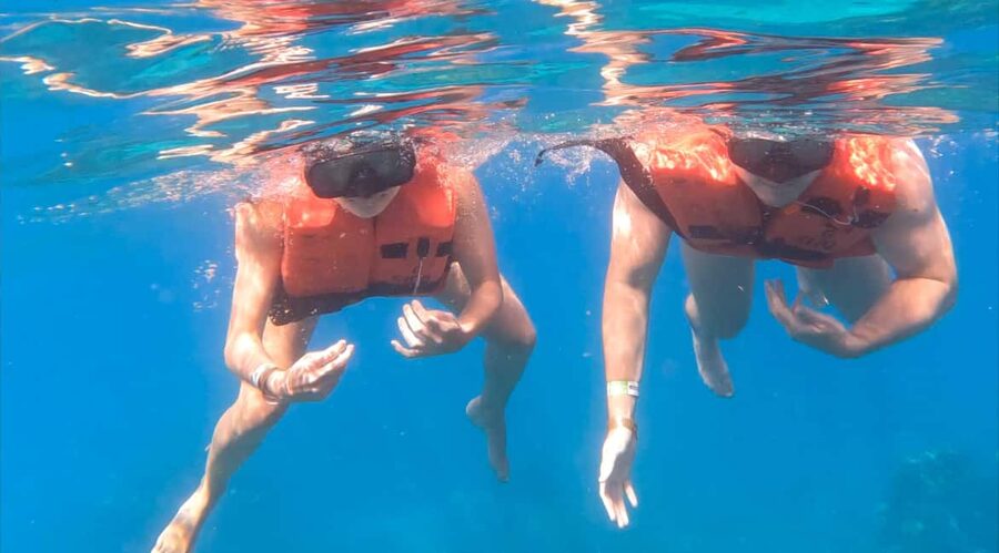 diving without a license catalina island from punta cana - Instructors, small groups, and the “stay calm” coaching