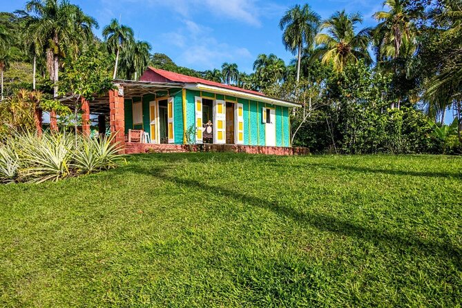 Dominican countryside, culture and beach escape with lunch - Plantation countryside: coffee, cocoa, and sugarcane views along the drive