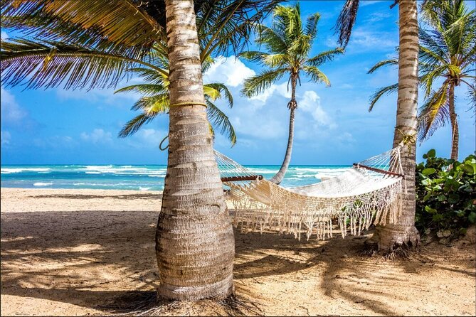 Dominican countryside, culture and beach escape with lunch - Cigar factory and sugarcane fields: what it looks like when work becomes craft