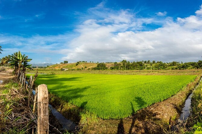 Dominican countryside, culture and beach escape with lunch - Price and logistics: what you really get for $105