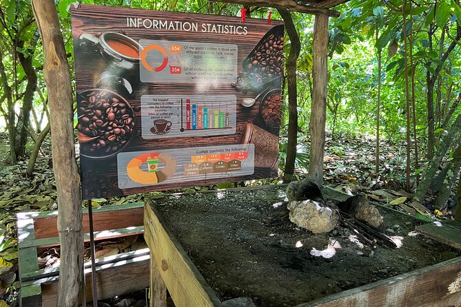 Dominican Culture Tour - Stop 1 in Higüey: Coffee, Cacao, and a Typical Local Home
