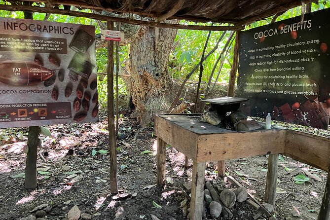 Dominican Culture Tour - Museo de La Altagracia: Higüey and the Dominican Republic Through Objects
