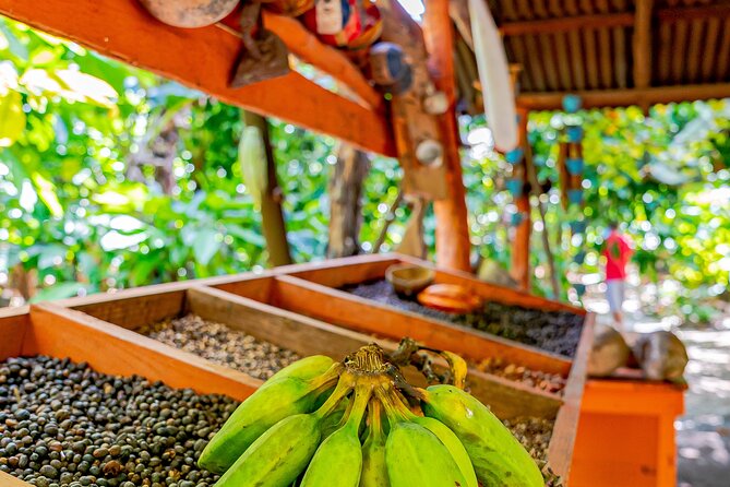 Dominican Republic Countryside Safari Tour from Punta Cana - Macao Beach at a Private Club: Time to Recover, With One Real Caveat