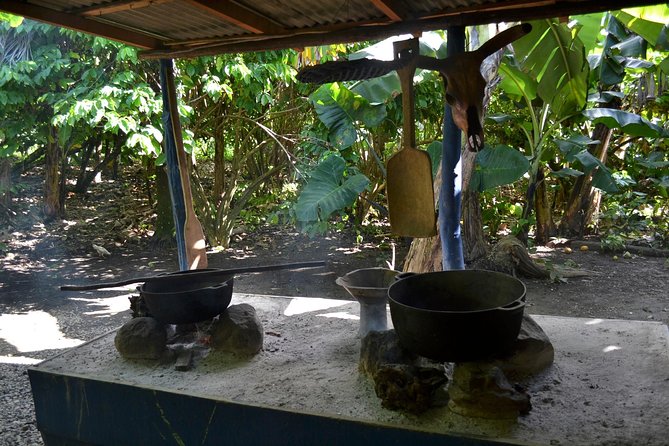 Dominican Republic Countryside Safari Tour from Punta Cana - Sugar Cane, Tobacco, and the Cigar-Rolling Part That People Love