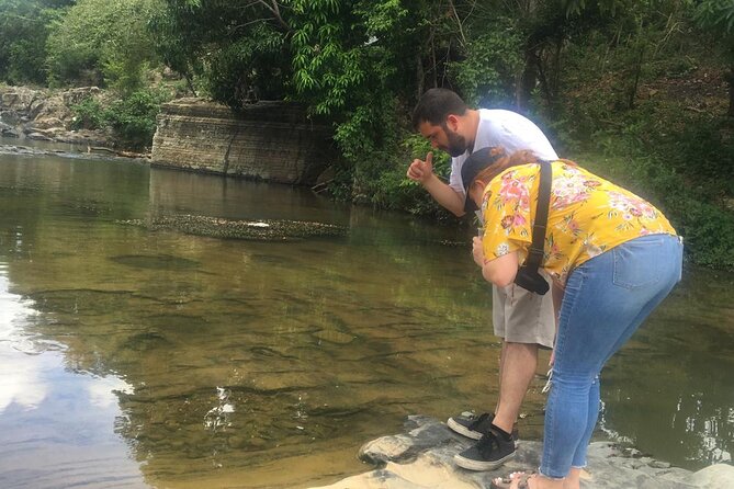 Dominican Republic Cultural Country Safari Tour from Punta Cana - Dominican food and snacks: what you can expect during the tasting stop