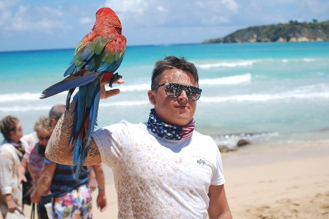 Dune Buggy Adventure by Caribbean Tour Service - Weather, Surf Options, and Who Should Actually Say Yes