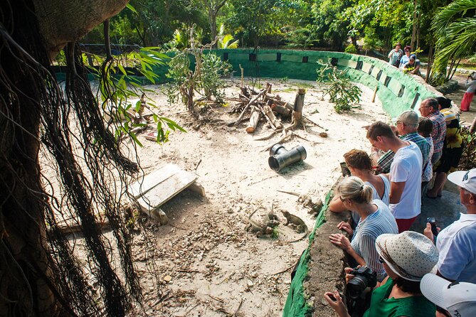 Eco Exploration: Golf Cart Adventure and Catamaran Cruise - Punta Cana Eco Day, With Two Big Water Moments