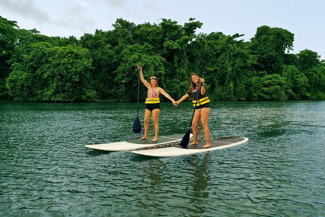 Eco Park Punta Cana by Marinarium Parks - Hilltop lookout, beehive sanctuary, and swings that beg for photos