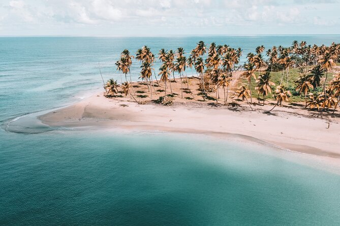 ECO TOUR Playa El Limon (Excursion Multi-activites) - Key highlights that make this tour worth your time