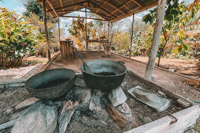 ECO TOUR Playa El Limon (Excursion Multi-activites) - What you’re actually paying for: value at $149 per person