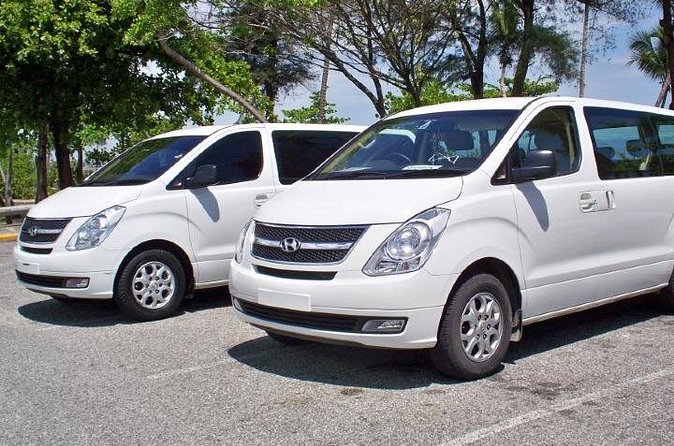 Effortless Airport Transfers in Punta Cana - The Guide Moment: Local Details During A Short Ride