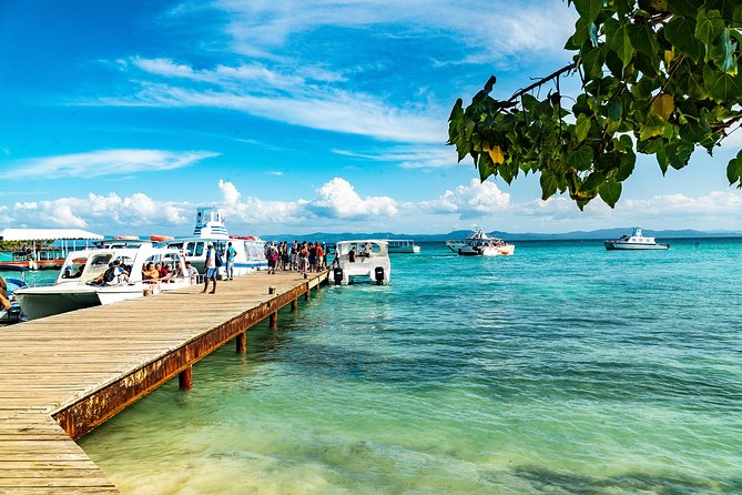 El Limon Waterfall and Bacardi Island Tour from Punta Cana with Lunch Included - Horseback Through Coffee and Cocoa, Then to El Salto del Limón
