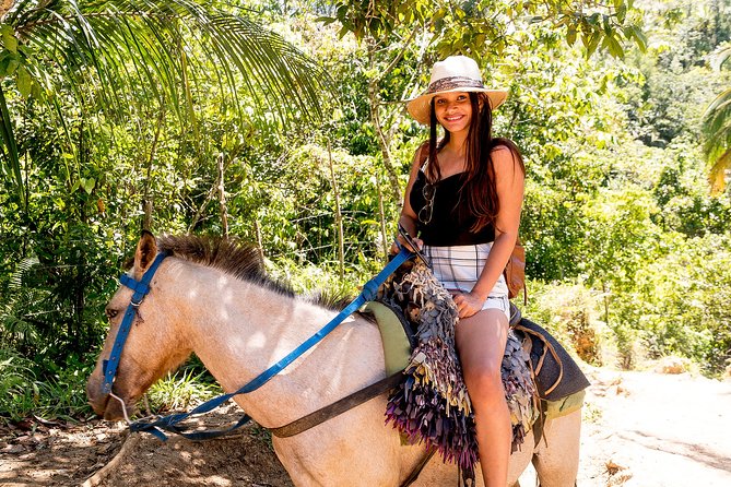 El Limon Waterfall and Bacardi Island Tour from Punta Cana with Lunch Included - Waterfall Time: Swim Spots, Steps, and What You Can Control