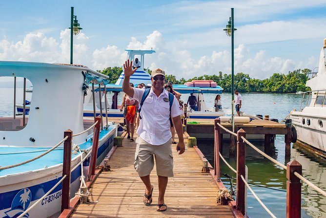 El Limon Waterfall and Bacardi Island Tour from Punta Cana with Lunch Included - Samaná to the Mountain Top: Safari Truck + Views You Earn