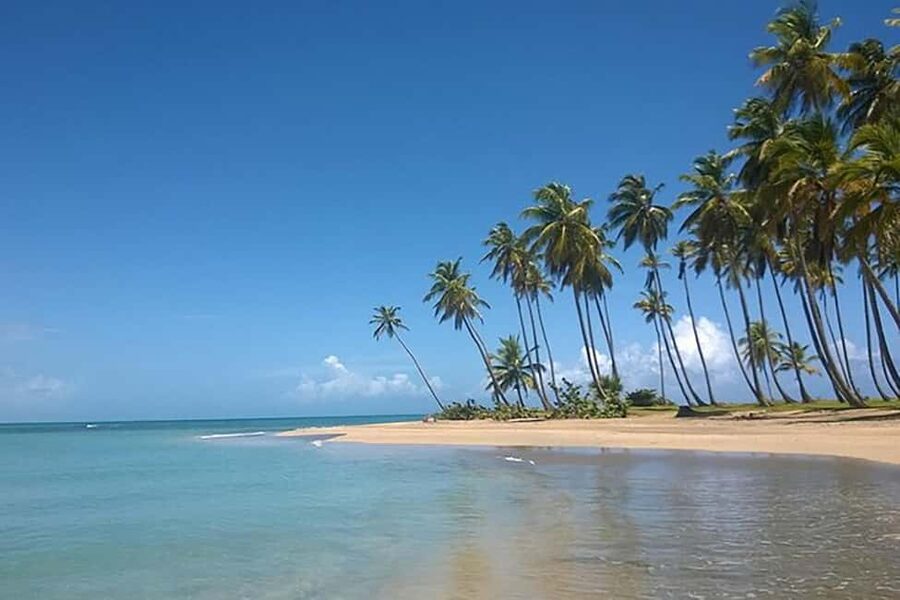 Excursion Round Mountain and Virgin Beach from Punta Cana - Lunch and Drinks: Simple, Included, and Timed for a Short Day