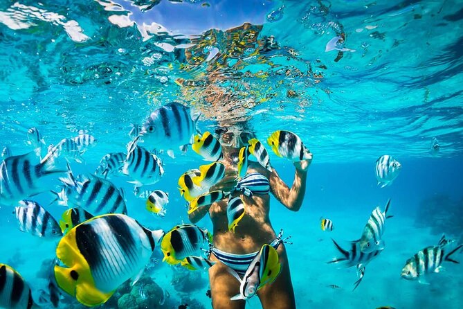 Excursion to Catalina Island and Snorkeling from Punta Cana - Catalina Island Beach Time and Lunch That Actually Feels Like Lunch