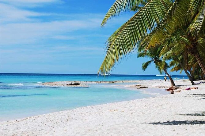 Excursion to Catalina Island and Snorkeling from Punta Cana - The Open Bar and the Waiting Game on a Boat Day