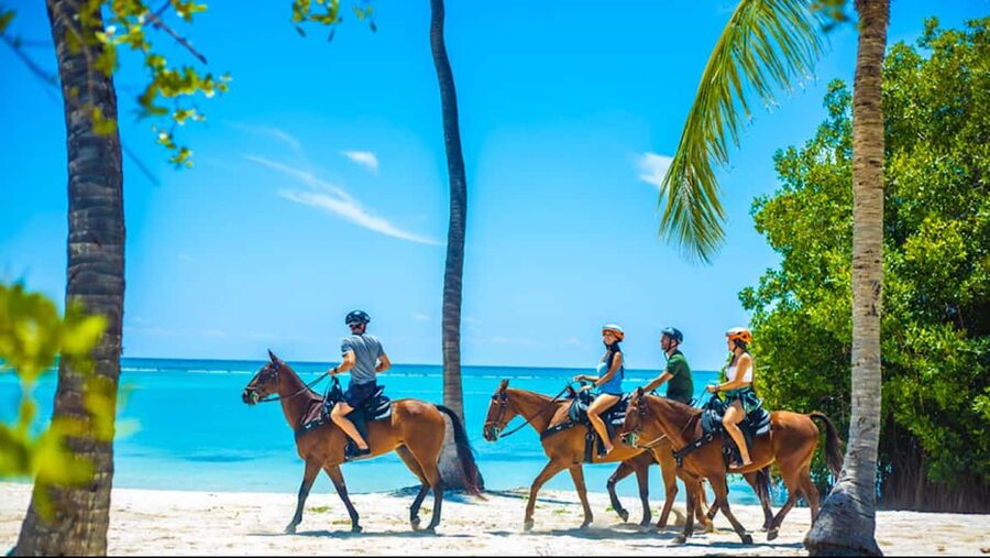Exhilarating Buggy Tours: Discover Punta Cana Scenic Wonders - A 4-Hour Punta Cana Buggy Route That Feels Off the Main Strip