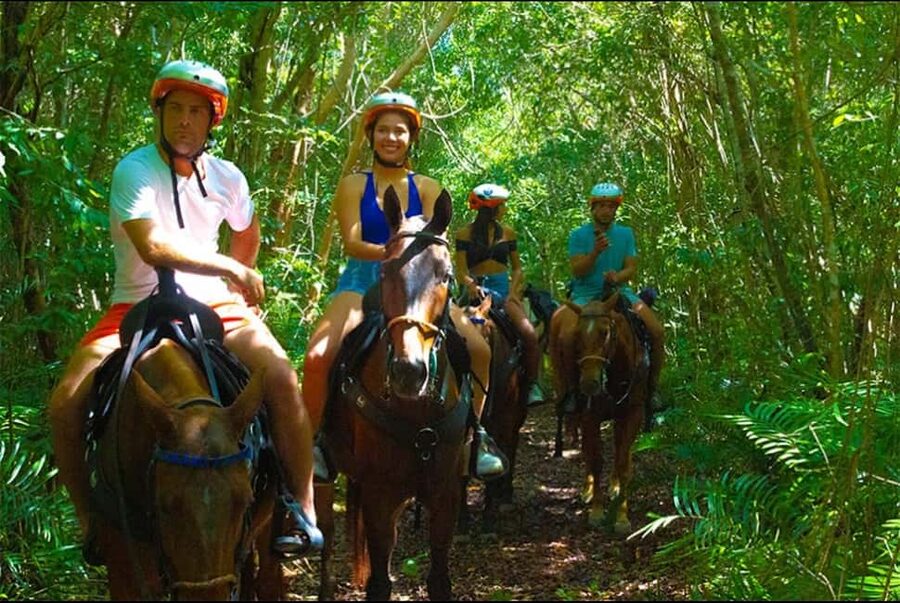 Exhilarating Buggy Tours: Discover Punta Cana Scenic Wonders - Price and Value: Why $33 Is Not a Throwaway Number