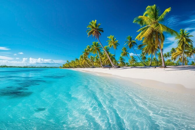 Explore Catalina Island & Snorkeling Adventure from Punta Cana - Quick reasons this Catalina day trip can be worth your $80