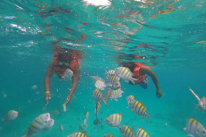 Explore Catalina Island & Snorkeling Adventure from Punta Cana - A smooth shift to the west side and your private beach time