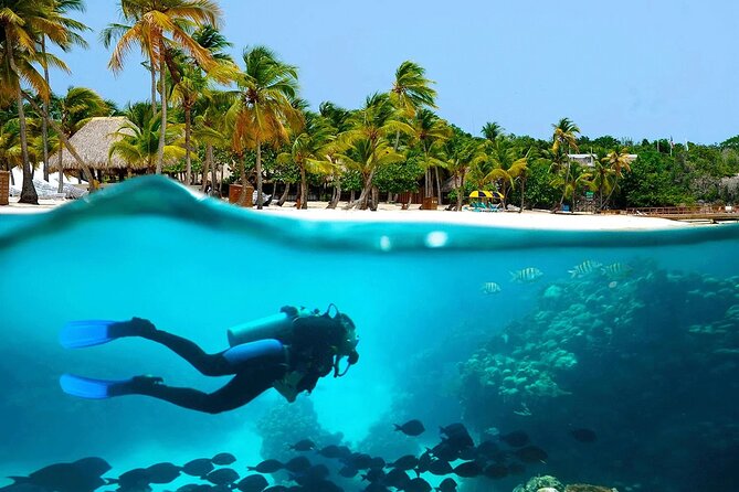 Explore Catalina Island & Snorkeling Adventure from Punta Cana - Lunch on Catalina, Dominican-style and included