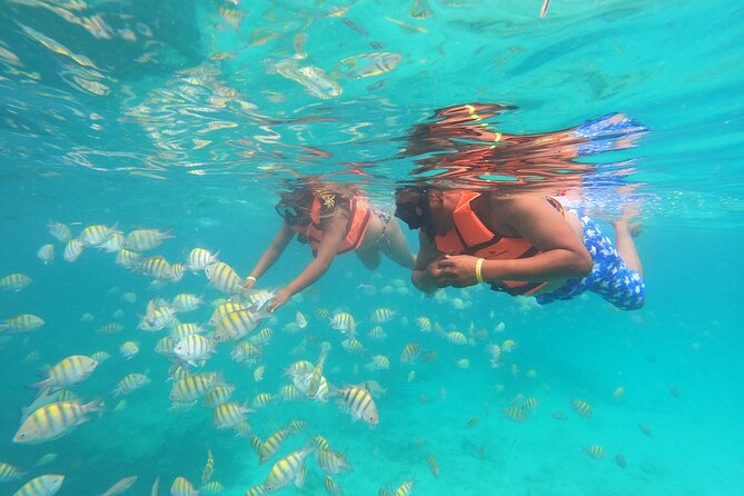 Explore Catalina Island & Snorkeling Adventure from Punta Cana - Timing, crowds, and the reality of a full day