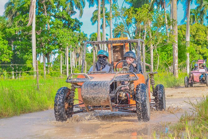 Explore Punta Cana in Buggy - Key highlights before you go
