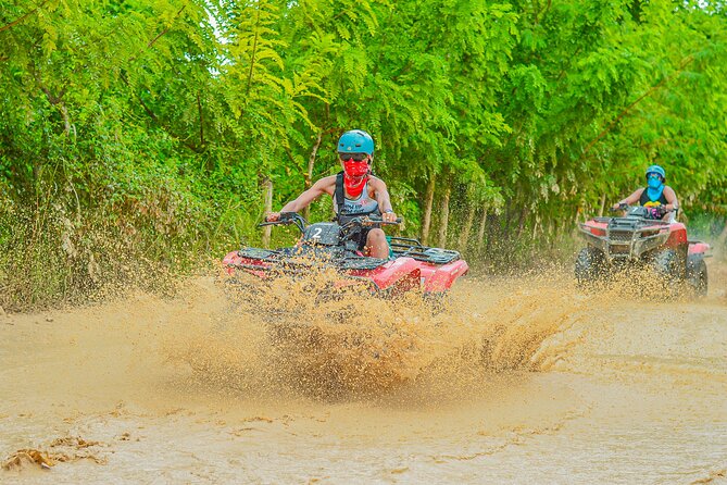 Explore Punta Cana in Buggy - Typical Dominican House Visit: Coffee, Cacao, and Mamajuana