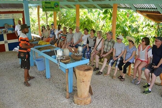 Extreme Buggy Adventure from Punta Cana - Crop House Stop in Macao: Coffee, Cocoa, and Tobacco on the Ground