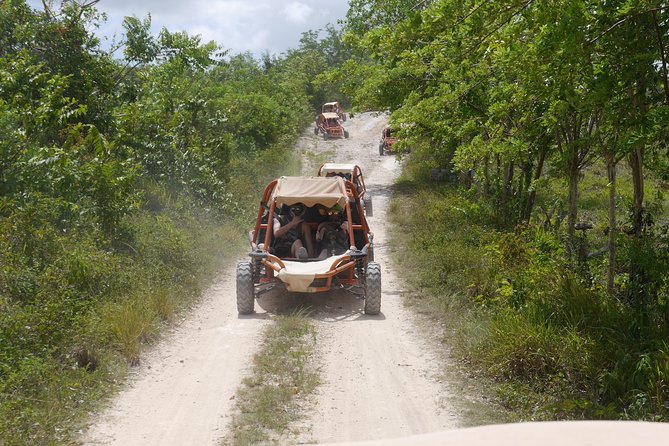 Family Buggy Adventure in Punta Cana - Price and What $50 Really Buys You in Punta Cana