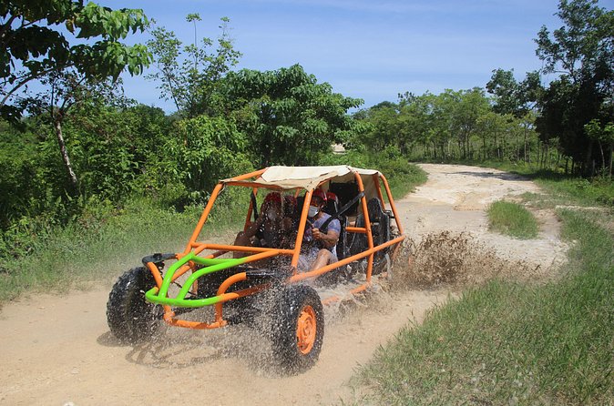 Family Buggy Adventure in Punta Cana - Stop for Coffee and Cacao: The Small Dominican Home Moment