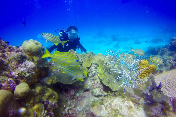 First Time Scuba Diving Experience in Punta Cana - Timing Rules That Matter if You Fly Soon