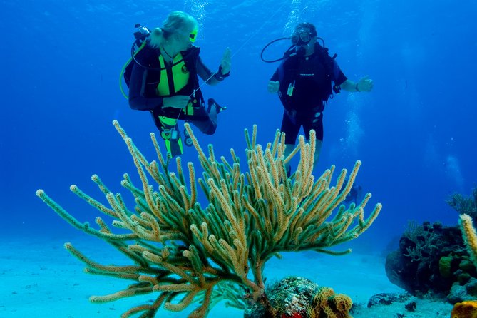 First Time Scuba Diving Experience in Punta Cana - Weather, Small Groups, and Safety-First Instruction