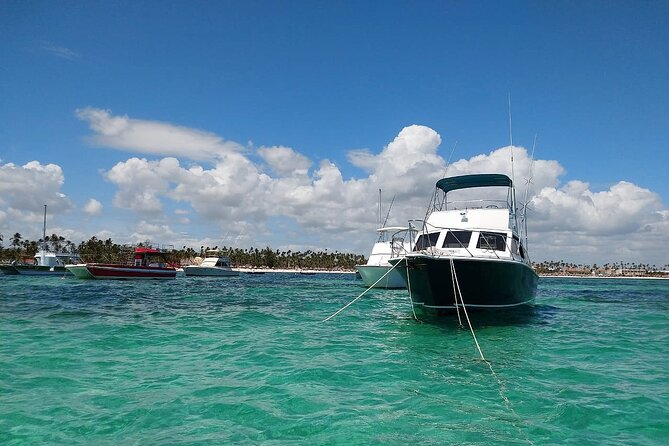 FISHING PRO CHARTERS - Boat Excursion - Divina - What you do on the water: trolling, waiting, and the big moments