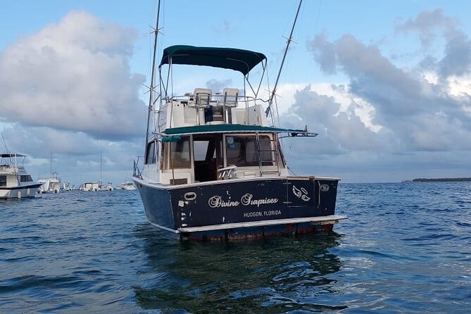 FISHING PRO CHARTERS - Boat Excursion - Divina - Fish you can target, and how to think about your odds