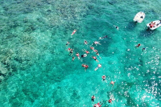 Float & Feast Private Party Cruise with Premium Buffet & Open Bar - What to Bring, What to Skip, and Who This Suits