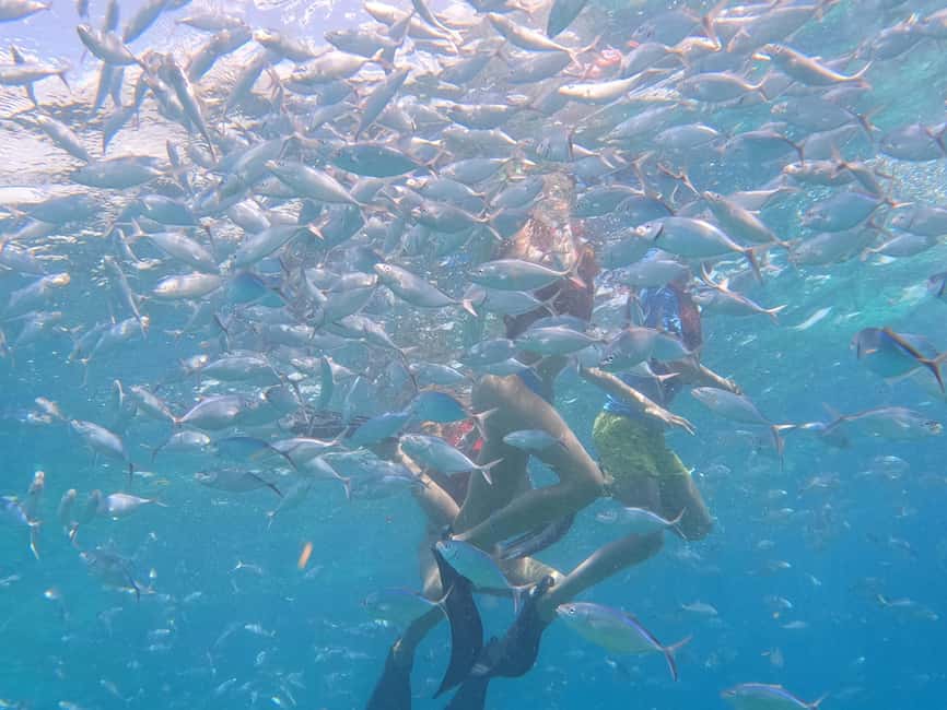 From Punta Cana: Catalina Island Swim, Sail & Snorkel - Who this tour suits best (and who should skip it)