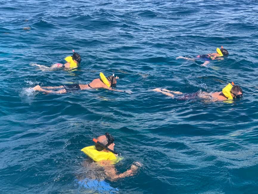 From Punta Cana: Catalina Island Swim, Sail & Snorkel - Quick reality check: what to watch out for