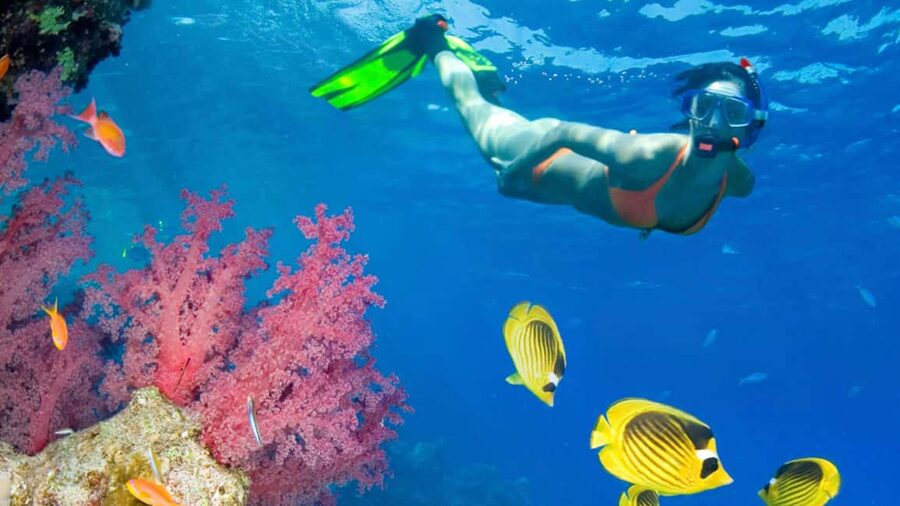 From Punta Cana: Catalina Island Swim, Sail & Snorkel - Price and logistics: does $79 feel fair