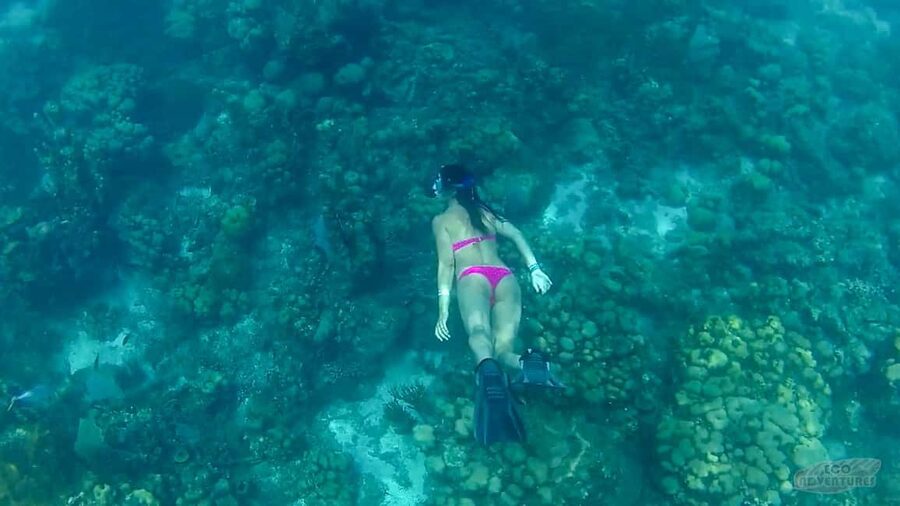 From Punta Cana: Catalina Snorkeling & Altos de Chavon Tour - How the day flows, from pickup to speed boat to island time