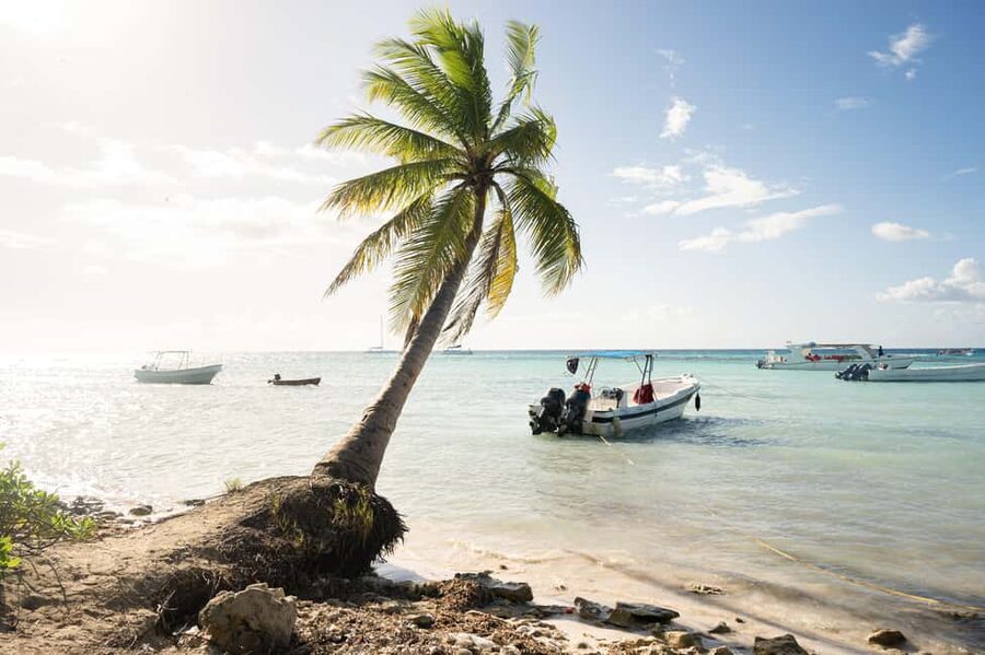 From Punta Cana: Catamaran Tour to Saona Island with Open Bar and Buffet - Key points before you go