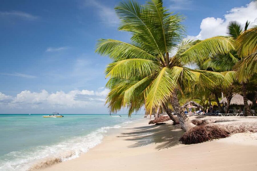 From Punta Cana: Catamaran Tour to Saona Island with Open Bar and Buffet - The natural pool stop: warm shallows, starfish encounters, and smart timing